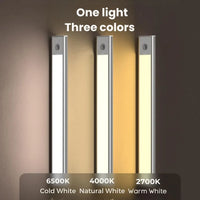 Motion Sensor Light